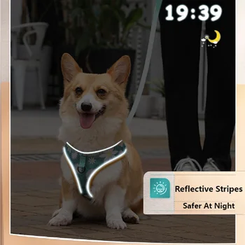 Harness Dog com 1,2 m de Tração da Corda Conjunto, Ajustável de Malha Respirável Cachorro Colorido Doodle Colete Tipo de Cinta peitoral para Cães de Médio